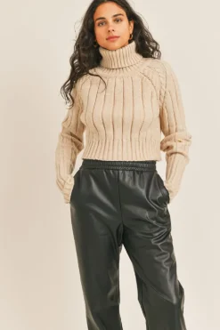 Discount Sadie & Sage Solana Turtle Neck Pullover-Beige|-New
